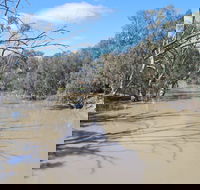 Bush Tucker Trail - Accommodation Sydney