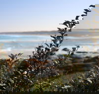 Cape Conran Coastal Park - Accommodation Sydney