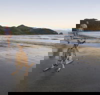 Cape Hillsborough National Park - Accommodation Sydney
