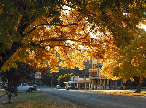 Carcoar - Sydney Resort 0
