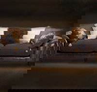 Cargo Lane - Sydney Resort