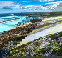 Conspicuous Cliff - Sydney 4u
