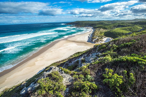 Conspicuous Cliff - Sydney 4u 0