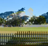 Cootamundra Cricketing Exploration - Sydney 4u