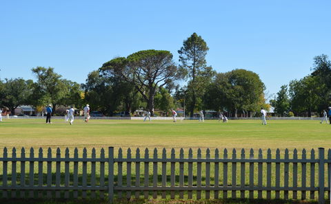 Cootamundra Cricketing Exploration - Sydney 4u 0