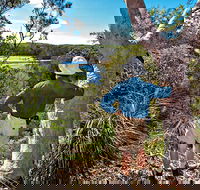Corkwood and Scribbly Gum Walking Track - Accommodation Sydney