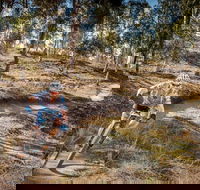 Cycle Mogo State Forest - Accommodation Sydney
