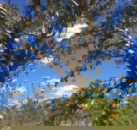 Euroa Arboretum - Sydney 4u