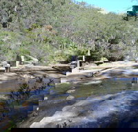 Frere's Crossing Bushwalk - Accommodation Sydney