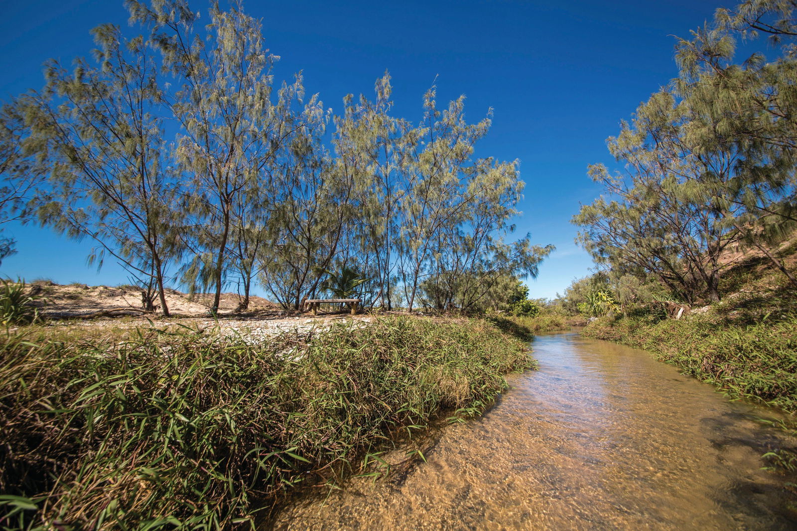 Farnborough QLD Accommodation Sydney