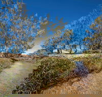 Freshwater Creek Track Byfield National Park - Accommodation Sydney