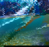 Glenreagh - Accommodation Sydney