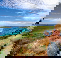 Great Ocean Drive - Sydney Resort