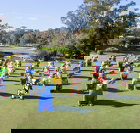 Hello Koalas Sculpture Trail - Accommodation Sydney