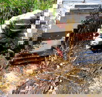 Honey Tasmania - The Beehive - Accommodation Sydney