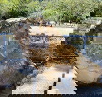 John Oxley Monument - Accommodation Sydney