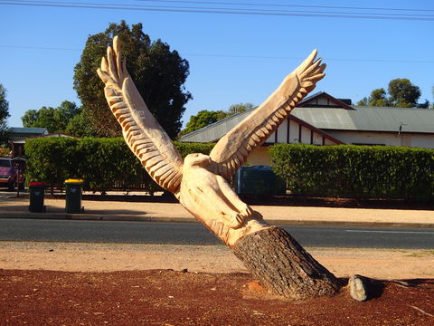 Loxton Tree Sculptures - Accommodation Sydney 0