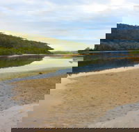 Mangrove Walk - Sydney 4u