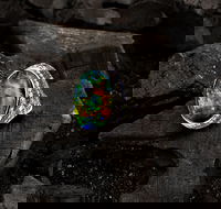 Matthew Ely - Accommodation Sydney