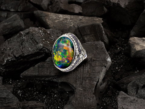 Matthew Ely - Accommodation Sydney 0