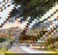 Meningie Walking and Cycling Trails - Accommodation Sydney