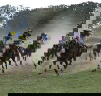 Mendooran - Accommodation Sydney