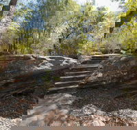 Mooney Mooney nature walk - Sydney 4u