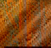 Newcastle Waters - Accommodation Sydney