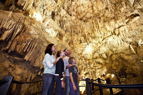 Ngilgi Cave - Accommodation Sydney 1