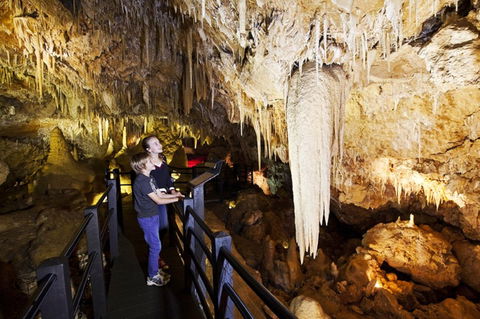 Ngilgi Cave - Accommodation Sydney 2