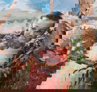 Oakvale Wildlife Park - Accommodation Sydney