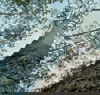 O'Sullivans Gap Picnic Area - Accommodation Sydney