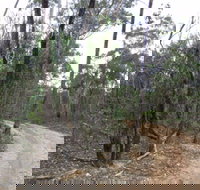 Paddys Ranges State Park - Accommodation Sydney