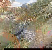 Palm Springs - Accommodation Sydney