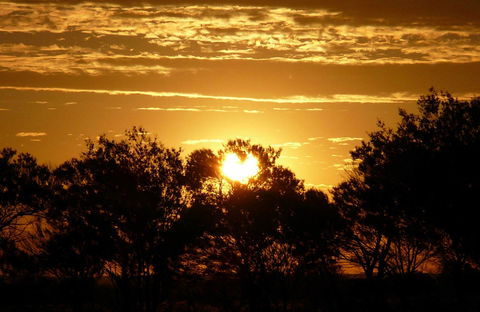 Paroo-Darling National Park - Sydney 4u 0