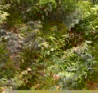 Powder Magazine walking track - Sydney Resort