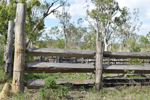 Princess Hills, Girringun National Park - Accommodation Sydney 2