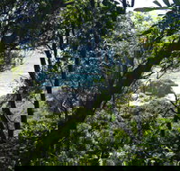 Rainforest Walking Track Hat Head National Park - Sydney Resort