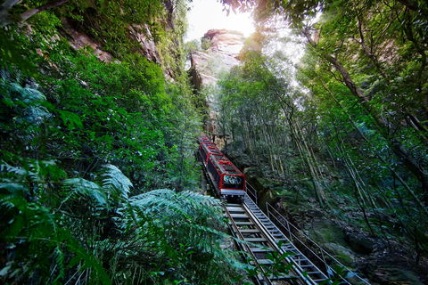 Scenic World Blue Mountains - Accommodation Sydney 0