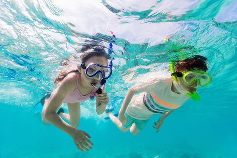 Snorkel Hat Head Creek - Sydney 4u 0
