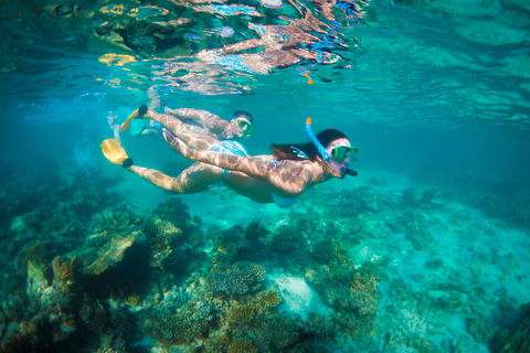 Snorkel The Ningaloo Reef - Accommodation Sydney 1