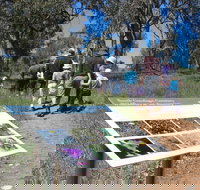 South Gundagai Woodlands Walk - Sydney Resort