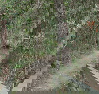 Springwood Conservation Park - Sydney Resort