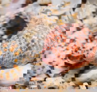 Stokes National Park - Sydney Resort