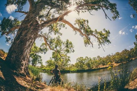 Sturt Gorge Recreation Park - Sydney Resort 0