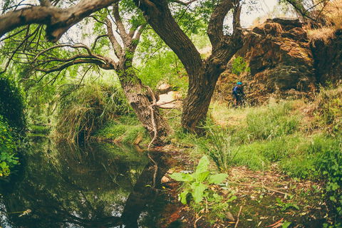 Sturt Gorge Recreation Park - Sydney Resort 1