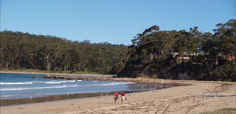 Surf Beach Batemans Bay - Accommodation Sydney 1