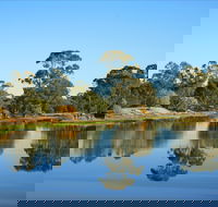 The Gums - Accommodation Sydney