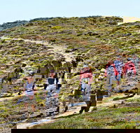 The Sole Walk at Hillocks Drive - Accommodation Sydney