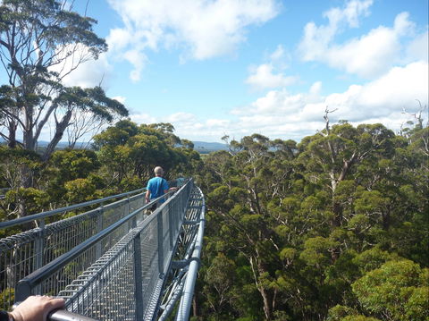 Walpole-Nornalup National Park - Sydney 4u 0